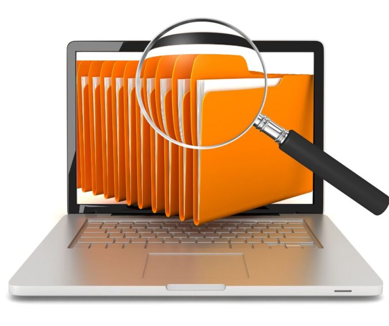 All You Need to Know About Secretary of State Business Search